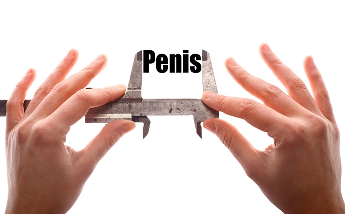 a small penis in men, and how this affects the sexual life